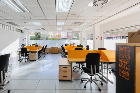Modern Trendy Coworking Office