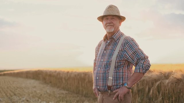 Portrait of the Caucasian cheerful senior man farmer in a hat and plaid shirt smiling to the camera while standing on the sunset in the middle of the wheat field.