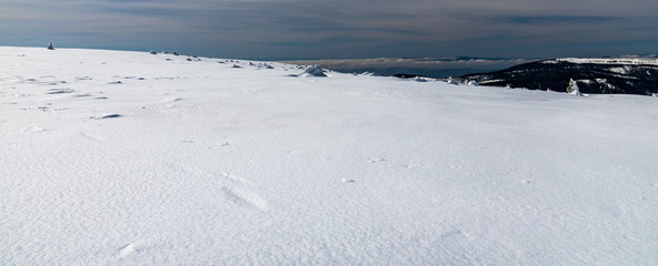 Fototapeta na wymiar winter Jeseniky mountains scenery near Vysoka hole hill in Czech republic