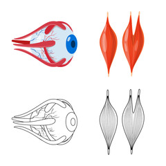 Vector design of biology and scientific symbol. Set of biology and laboratory stock symbol for web.