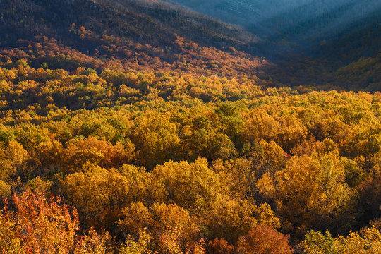 Autumn Colors In The Great Smoky Mountains
