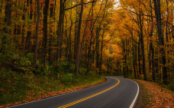 Winding Autumn Path In The Smoky Mountains