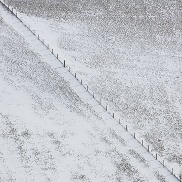 A frozen field dissected by a diagonal fence line.