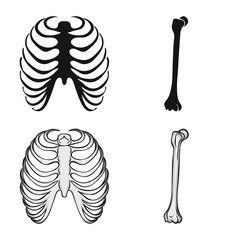 Vector design of medicine and clinic logo. Collection of medicine and medical vector icon for stock.