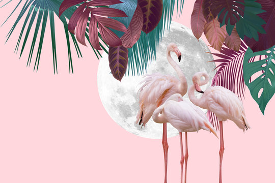 moon and flamingo background design with tropical leaves, can be used as background, wallpaper © Kanea