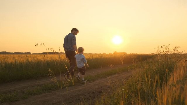 Father and son, father and little boy walking on the field at sunset. Go on the road at sunset in a field. 4k