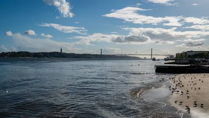 view of the bridge in Lisbon on a sunny day with birds in the foreground