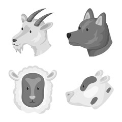 Vector design of countryside and homestead sign. Set of countryside and breeding vector icon for stock.