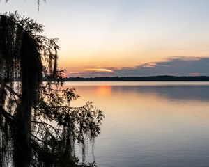 Sunrise view over the lake with mossy trees in Florida