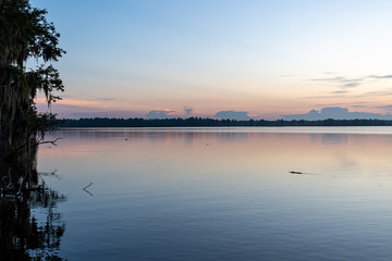 Naklejka na ściany i meble Sunrise view over the lake with mossy trees - nature in Florida