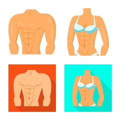 Isolated object of fiber and muscular icon. Collection of fiber and body stock vector illustration.