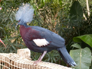 Zoo