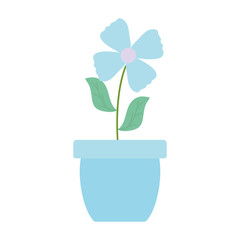 cute flower and leafs plant in ceramic pot