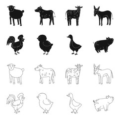 Vector design of breeding and kitchen sign. Set of breeding and organic stock symbol for web.