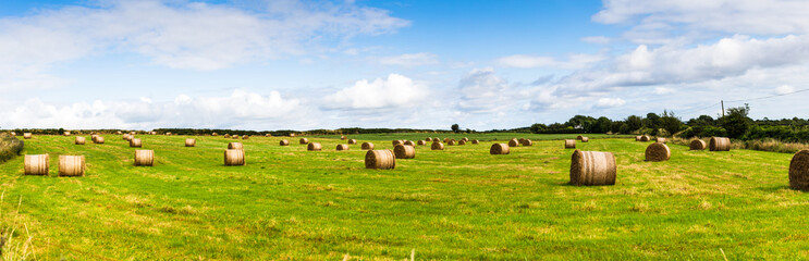 Panoramic view of a rural landscape with rolls of hay bale spread across the field on a cloudy summer day