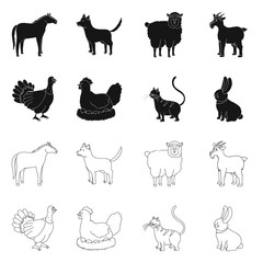 Vector design of breeding and kitchen sign. Set of breeding and organic vector icon for stock.