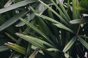 Processed with VSCO with a6 preset