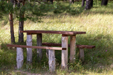 Wooden table with a bench in the forest under the pines