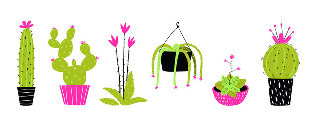 Decorative potted cactus set flat hand drawn illustrations