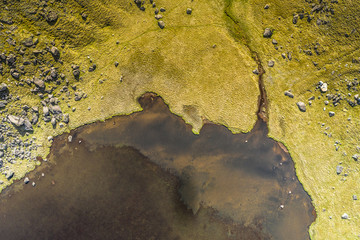 aerial view of pond and green nature