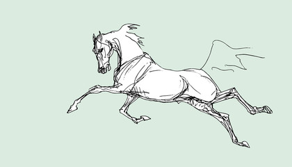 drawn image of a black silhouette of a galloping horse on a colored background © Viktoria Suslova