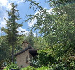 Madonnina in the forest