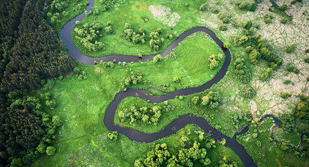 Aerial landscape - wild river in summer - obrazy, fototapety, plakaty