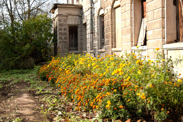 fragment of the abandoned ruined Manor of Pushchino - on - Oka, Moscow region, Serpukhov district