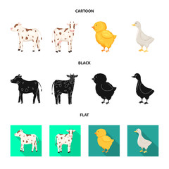 Vector design of breeding and kitchen sign. Set of breeding and organic stock symbol for web.