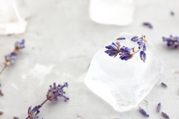 Lavender flowers with ice cube on grey background