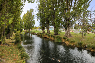 Tree lined river in Christchurch, New Zealand
