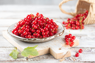 Red currant on plate on white wooden background