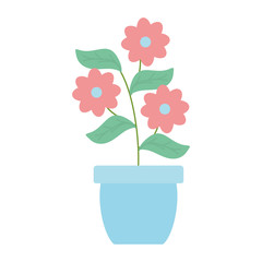 flowers garden and leafs in ceramic pot decoration