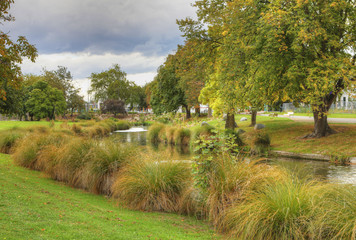 Tree lined river in downtown Christchurch, New Zealand
