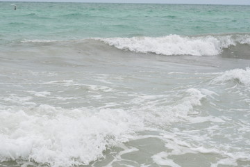 Sarasota Florida Waves and Sea gulls 