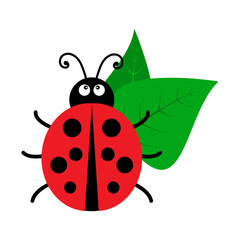 Bright ladybug with leaves icon. Vector illustration © Sylfida