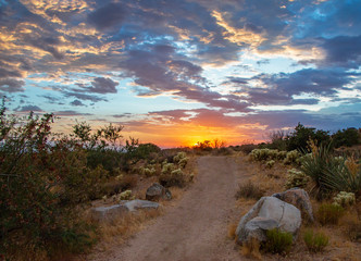 Desert Hiking Trail leading To Sunset In Scottsdale AZ
