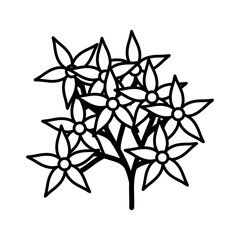 flowers garden plant decorative icon