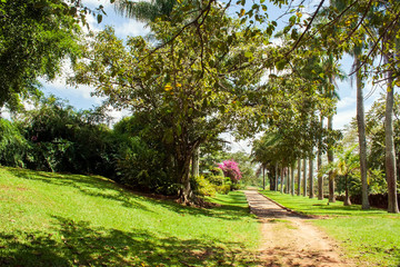 Caminho IMG_9253