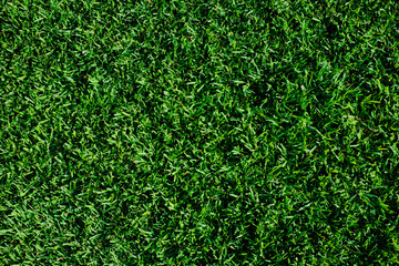 Fresh green grass texture pattern, field or lawn surface, top view.