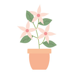 flowers garden and leafs in ceramic pot decoration