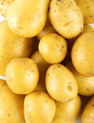 Fresh potato background