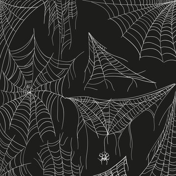 Cobweb set on black. Tangled spider white web for catching insects. Vector hand-draw cartoon illustration