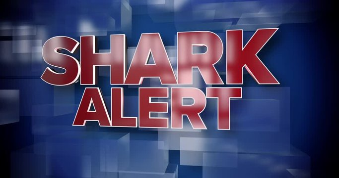 A red and blue dynamic 3D Shark Alert news title page background animation.	 	