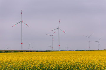 Windkraftanlage auf Rapsfeld 1