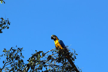 Chapada dos Veadeiros 