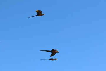 Chapada dos Veadeiros 