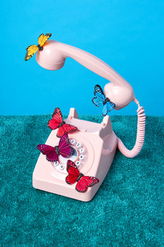 Butterflies on pink rotary phone
