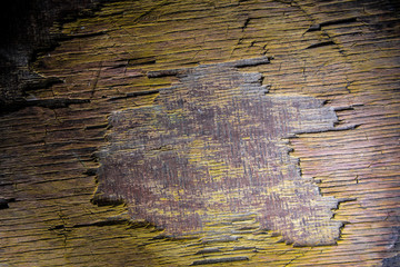 Dark vintage wood texture. Close up view of old grunge dark wooden surface.