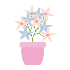 flowers garden in ceramic pot decoration